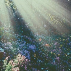 Prana Mix