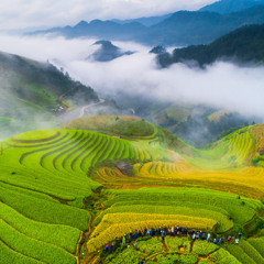 Witchtape #199 | Guest Witch : Anna Panilli