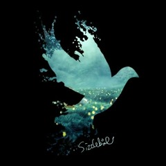 SizzleBird 🐦