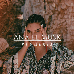 Ana El Musk