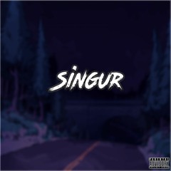SINGUR (Official Audio)
