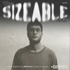 The Sizeable Mix Vol. 6: Sohrab DJ mix artwork - Electronic music tracklist cover image