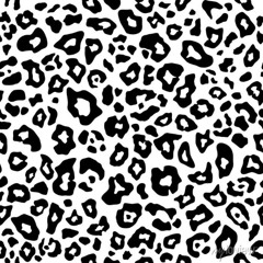 white cheetah (prod. 1notrama)