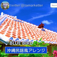 BLUE BIRD Ayumi Hamasaki Okinawan folk song Remix