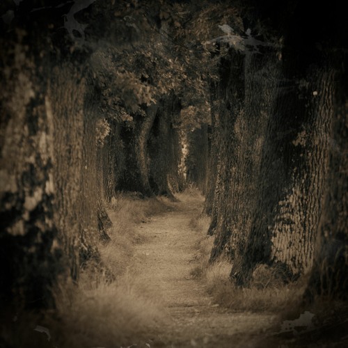 The witches' path: Three cauldrons