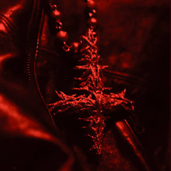 BRAZY KRAZY (PROD. SHOKI x HELLSING x FLOWRENCY) [sosmula: “Brazy Brazy” remix]