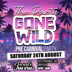 Pure Vibes Ent - Live At The Party Gone Wild 24.08.2024