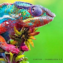 Curtiss - Chameleon 3.0