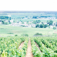 Louis Vierne: Idylle, Suite bourguignonne Op.17, No. 2. ルイ・ヴィエルヌ ブルゴーニュ組曲  牧歌