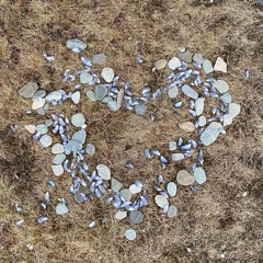 ant spa •)(( 21.05.2024