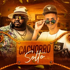 Mc Kalzin - Cachorro Solto ( DJ CARLITINHO ) Funkseiro
