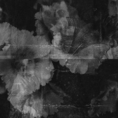 Cuca Negra - Noctis Labyrinthus [LARM013]