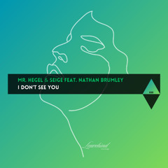 Mr. Hegel, Seige - I Don't See You feat. Nathan Brumley
