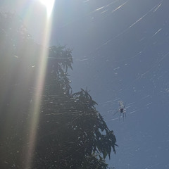 La Kadrilla - Freestyle Skyrock [COMPLET]