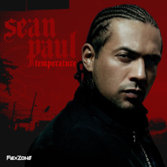 SEAN PAUL - TEMPERATURE (FLEXZONE REMIX)  [FREE DOWNLOAD]