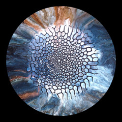 Expressmor (SNTP094) preview