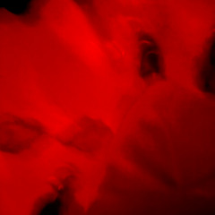 ⌬⌬⌬⌬⌬⌬⌬⌬⌬⌬⌬⌬⌬⌬⌬⌬