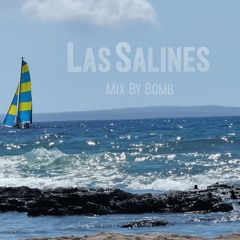 Las Salines - Ibiza 25