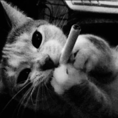 Without Me (prod. tiresss)