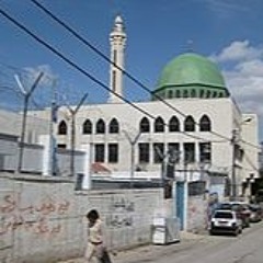 انشودة صرخة مخيم بلاطه