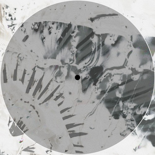Seraph Particle