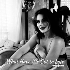 What Have We Got To Lose (Remix)