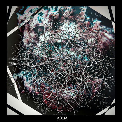 Alula Podcast 008 (Earl Grau - Short visit)