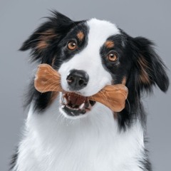 throw me a bone 1