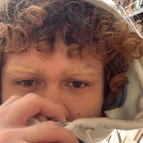 stupid questions prod corigula