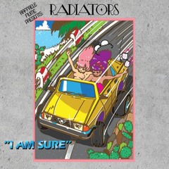 Raffaele Fiume presents Radiators - "I Am Sure" (Mario Moretti Remix)