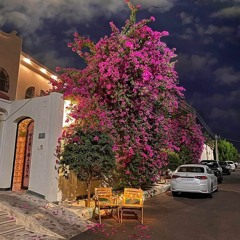 تسلمي يا مصر بصوت بهجت صابر - النشيد الوطني المصري القديم