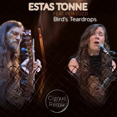 Estas Tonne Feat. Peia Luzzi - Bird’s Teardrops (Cignus Remix)