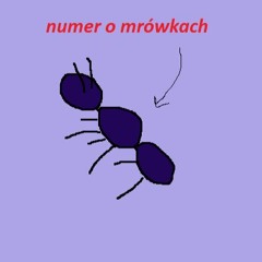 numer o mrówkach