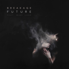 Future (Calibre Remix) [feat. Madi Lane]