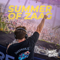 Summer of Zaag