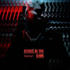 Echos In The Dark
