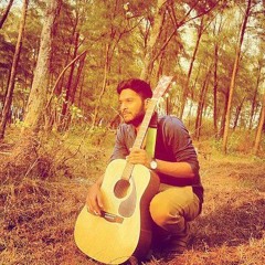 Beautiful Day ( Acoustic solo project) Originál composition.