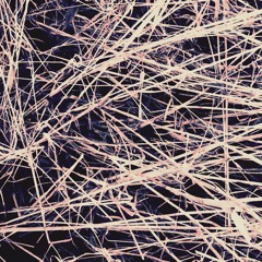 BHLB - Something Is Brewing