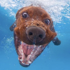 走れプレイヤー