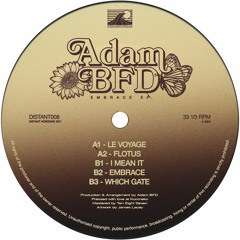 PREMIERE: Adam BFD - Embrace
