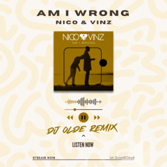 Am I Wrong (DJ Olde Remix)