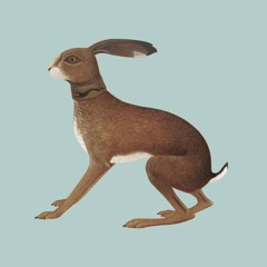 Stereo Embers The Podcast 0424: Vashti Bunyan