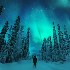 Nørthern Lights - Trance x Hardtechno Set