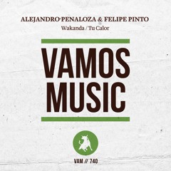 Alejandro Peñaloza & Felipe Pinto - Wakanda (Original Mix)