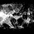 Artwork for extrait tribe rytm a4 lyra8