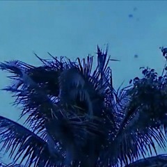 Black Sun - Summer Nights