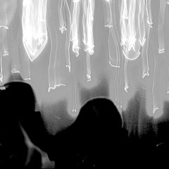 Mixtape 051