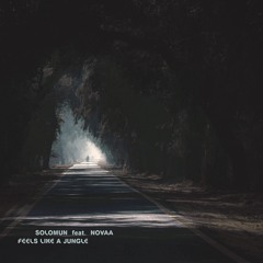 Solomun Feat. Novaa - Feels Like A Jungle Pt.1