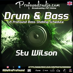 #254 Profound Special DnB Mix @djstuwilson