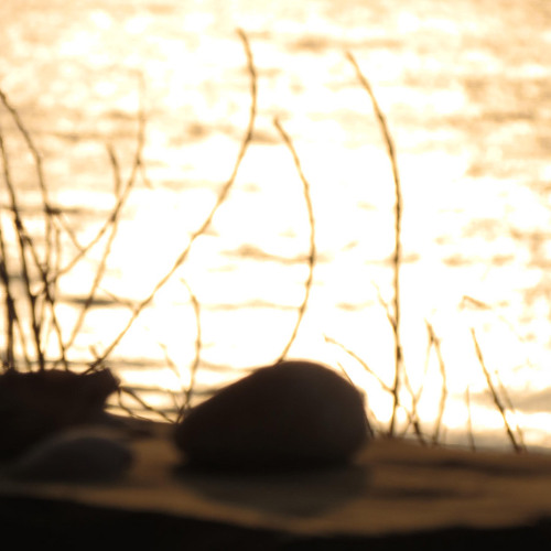 PREMIERE : Saav - Don't Stare At The Mirror [Self-release]